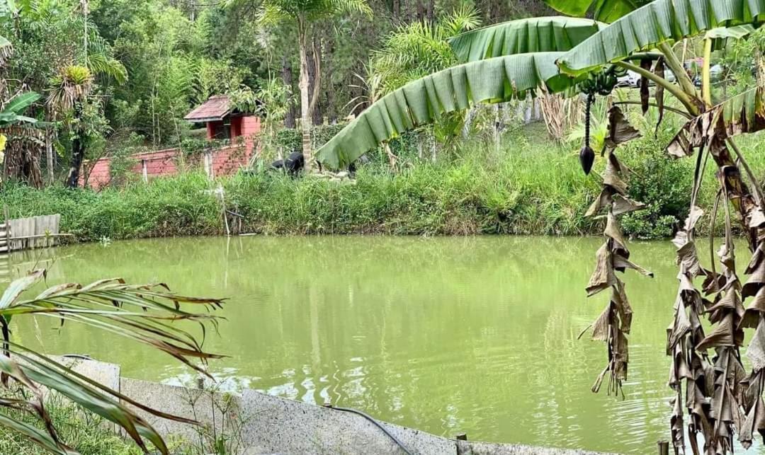 Chacara Recanto Dos Passaros Bairro das Rosas Zewnętrze zdjęcie